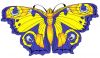 Schmetterling_2.jpg