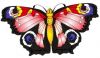 Schmetterling_1.jpg