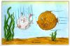 Golfball_im_Wasser.JPG