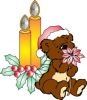 Baer_Weihnachten_5_color.jpg